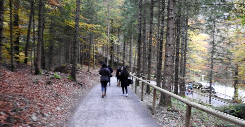 neuschwanstein-walking-path